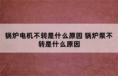 锅炉电机不转是什么原因 锅炉泵不转是什么原因